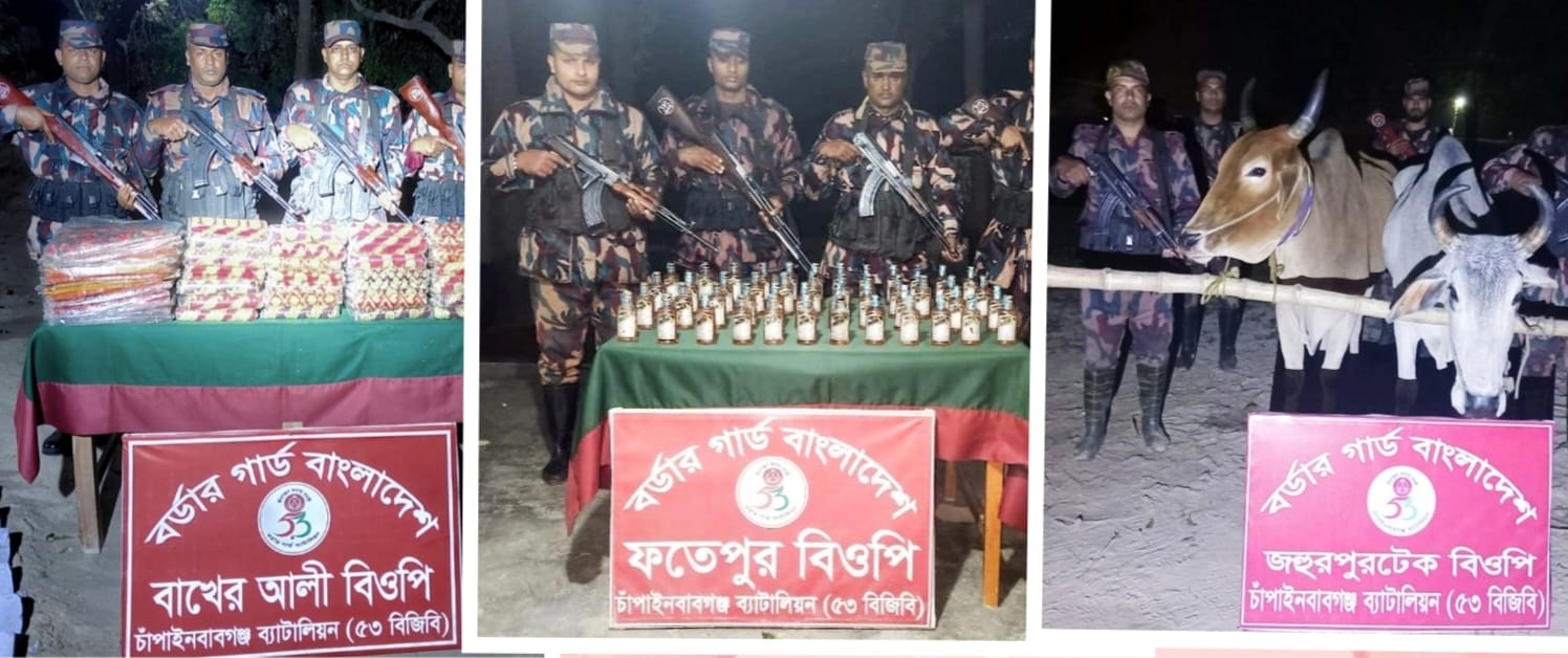সীমান্তে ৫৩ বিজিবির পৃথক পৃথক অভিযানে ভারতীয় মদ, শাড়ী, চাদর ও ২টি গরু জব্দ 