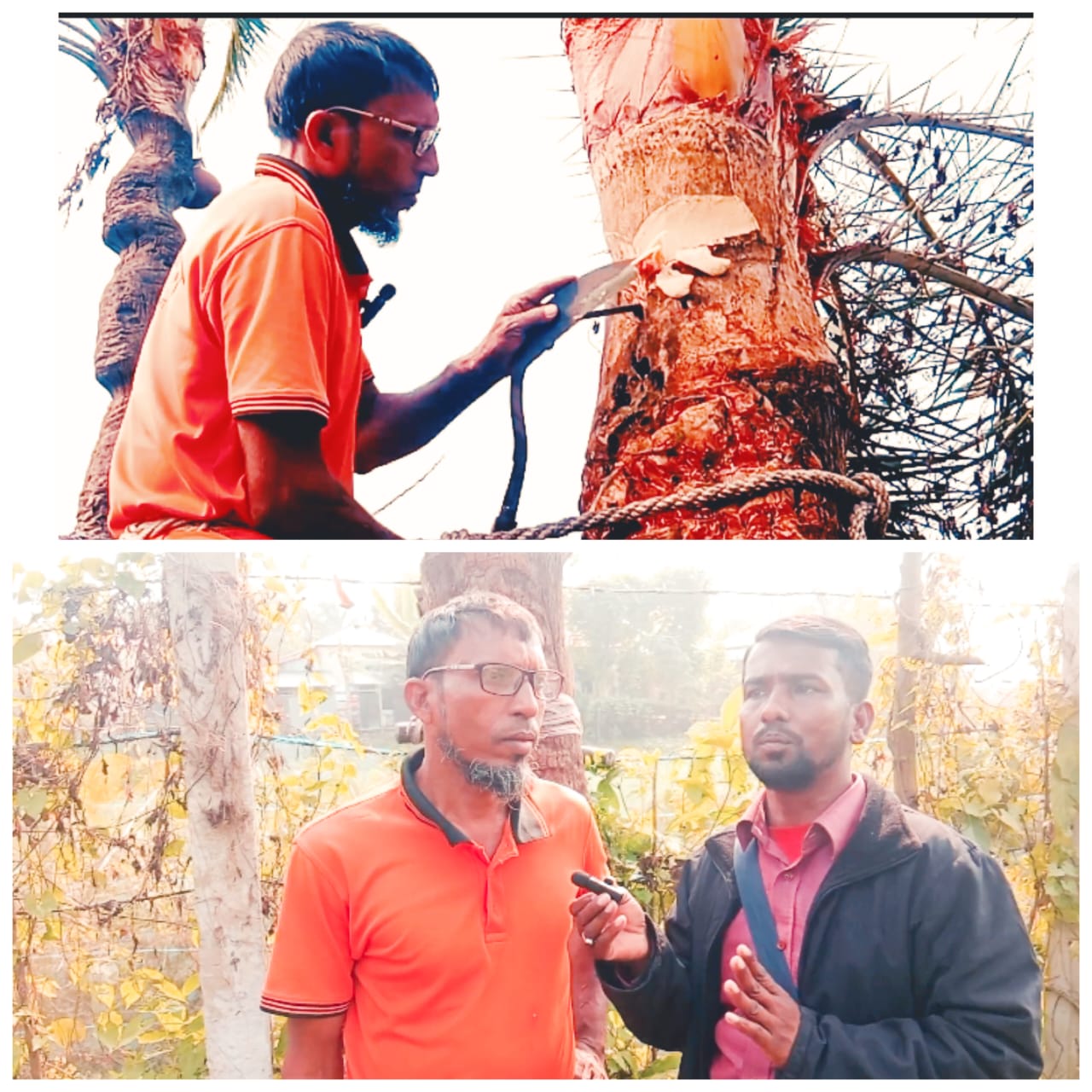 দিঘলিয়া উপজেলার ইয়ার আলীর খেজুর রস সংগ্রহ ও জীবন সংগ্রামের পথ 