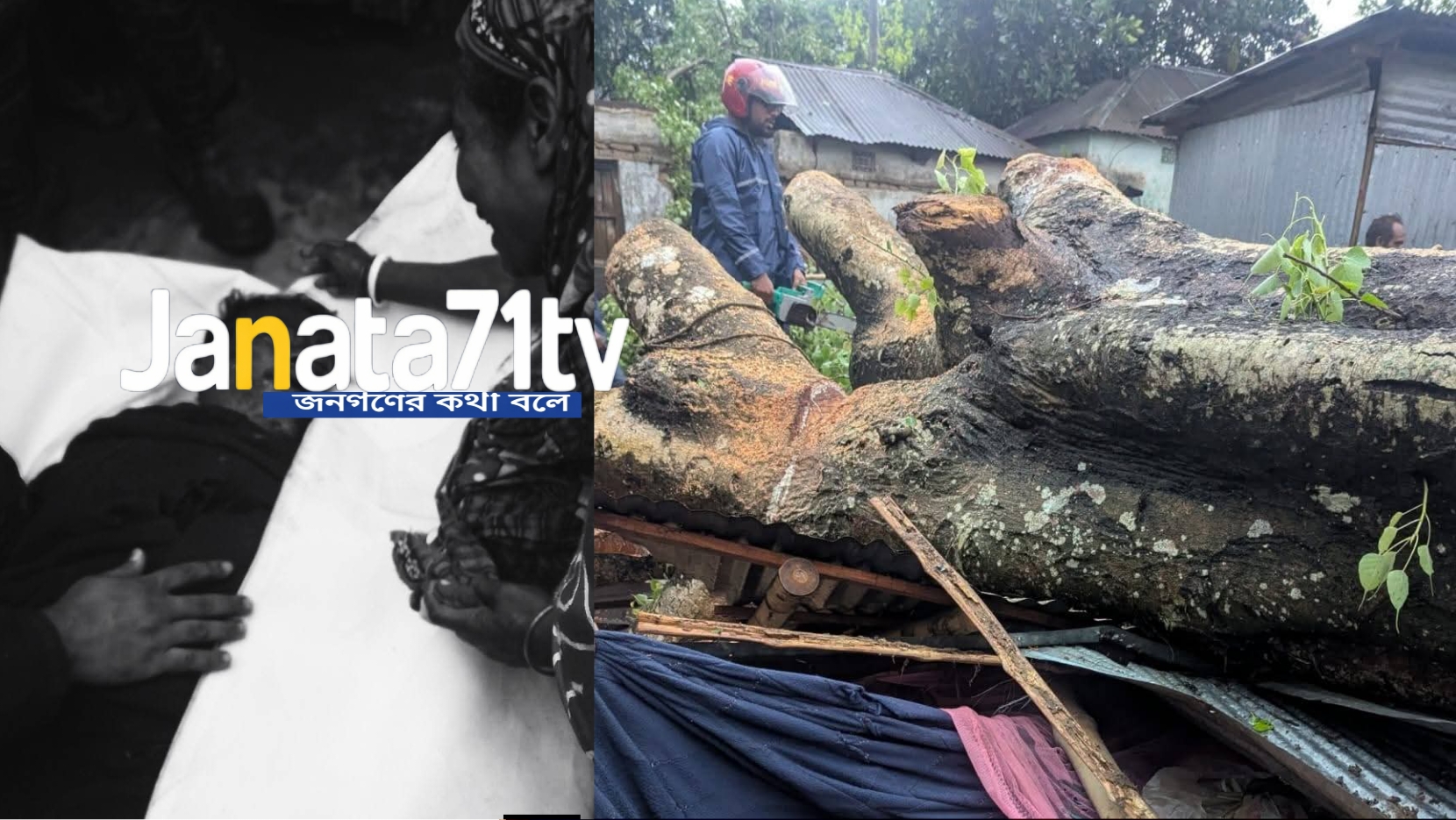 বগুড়ায় সর্বনাশা কালবৈশাখী ঝড়ে বটগাছ উপরে পড়ে দোকান ঘরে থাকা উমা চন্দ্রের মৃত্যু
