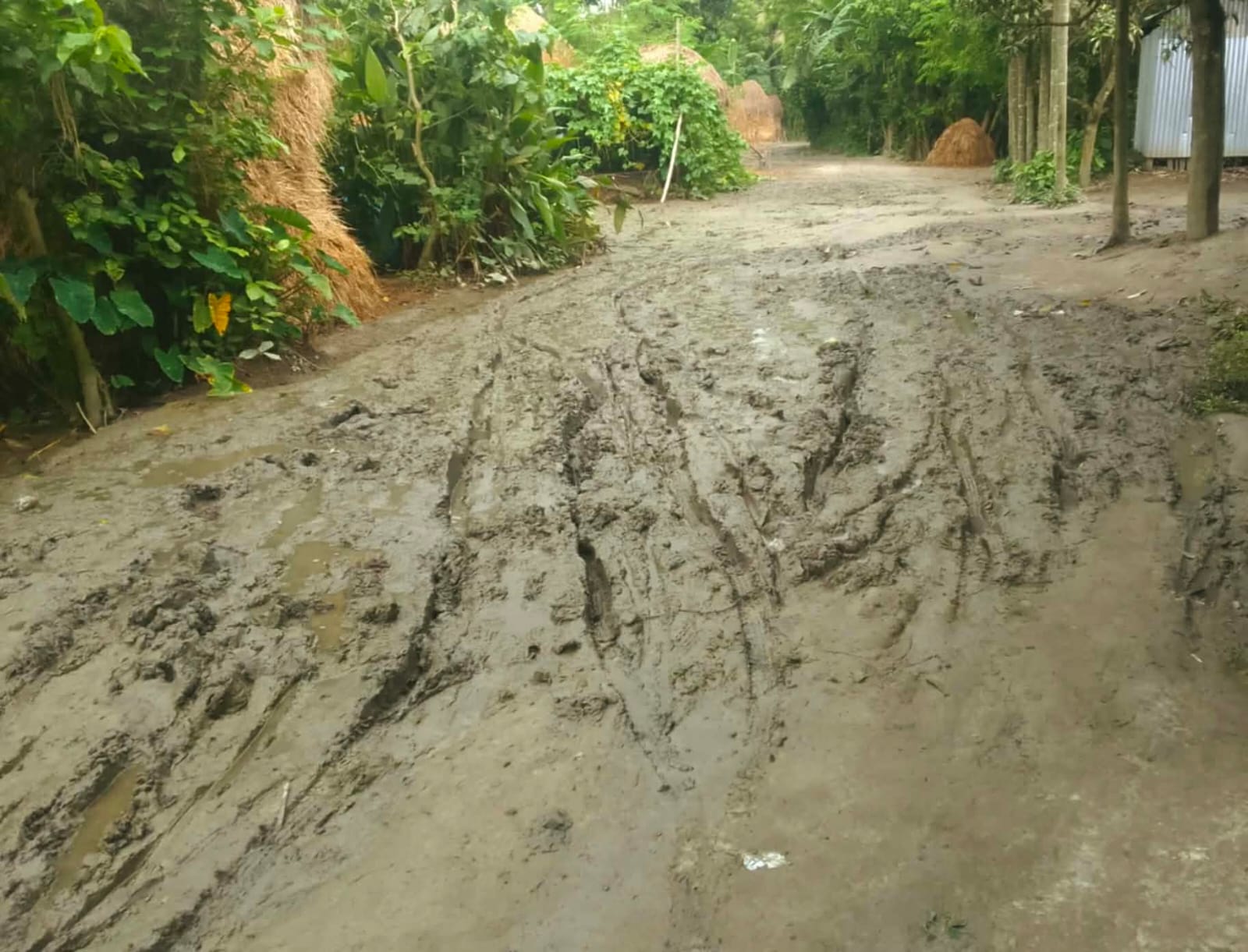 উল্লাপাড়ায় রাস্তা পাকাকরণের অভাবে দীর্ঘদিন ধরে চরম দুর্ভোগে এলাকাবাসী